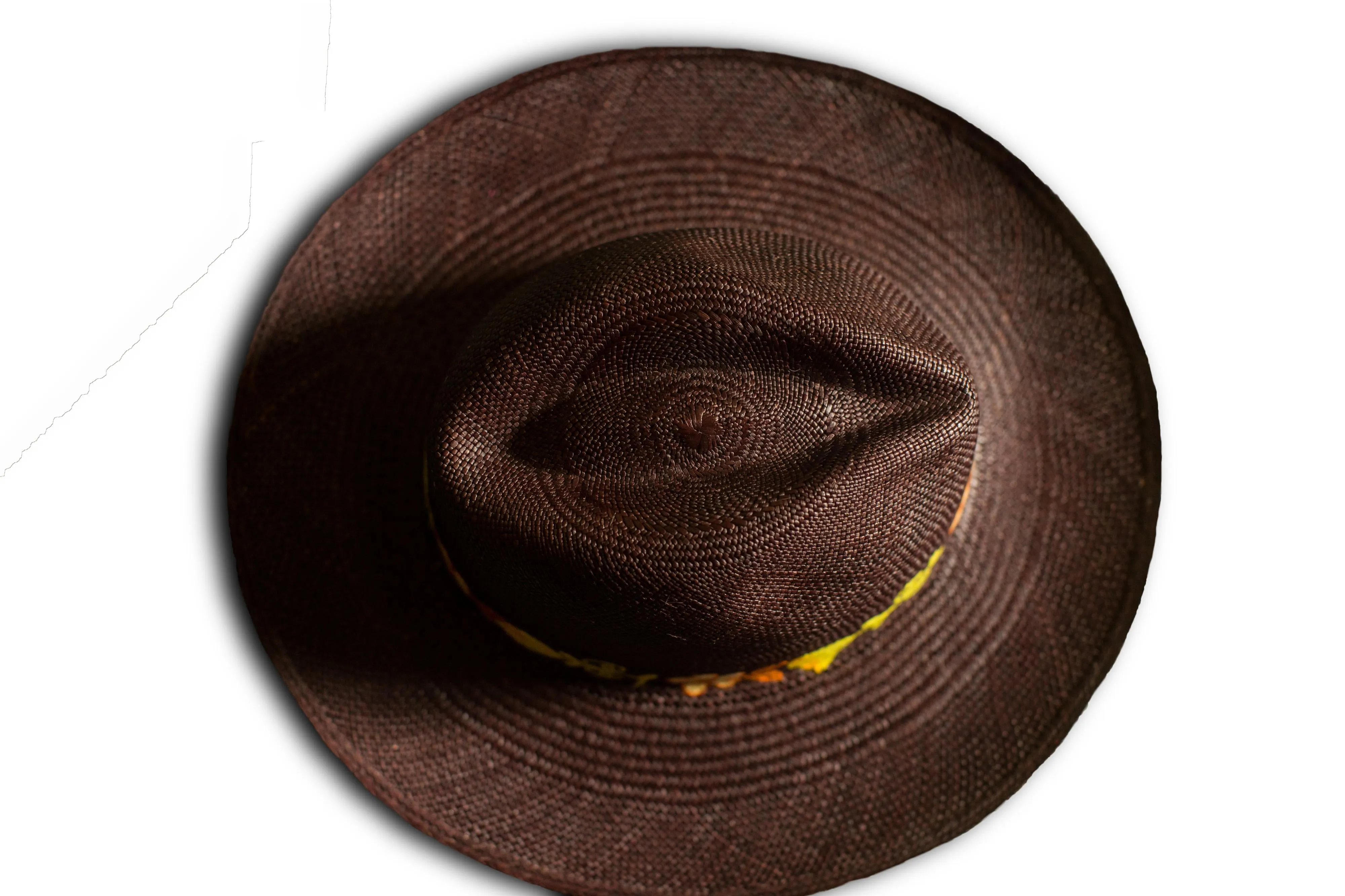 Panama hat brown